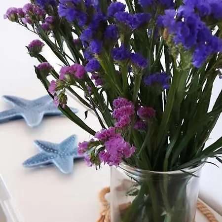 Apartament Blu Elba Holidays, Stecchi *